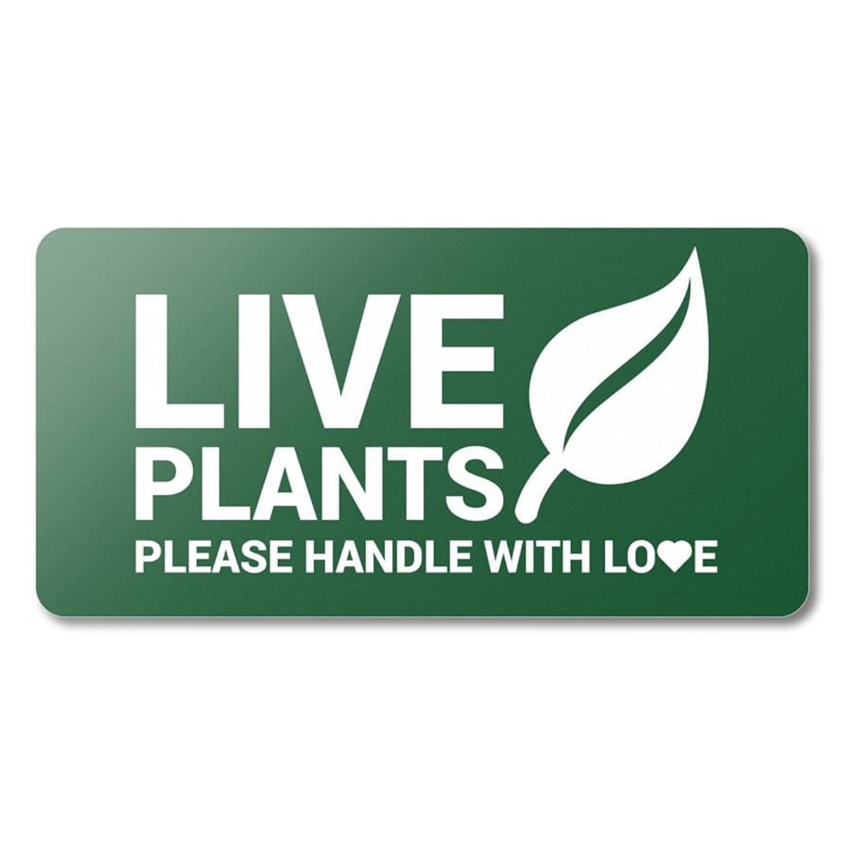 Comprehensive Guide to Plant Care Labels: Templates, Uses, and Best Practices