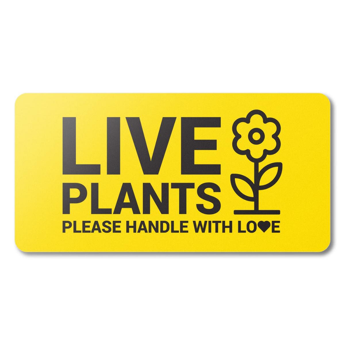 Comprehensive Guide to Plant Care Labels: Templates, Uses, and Best Practices