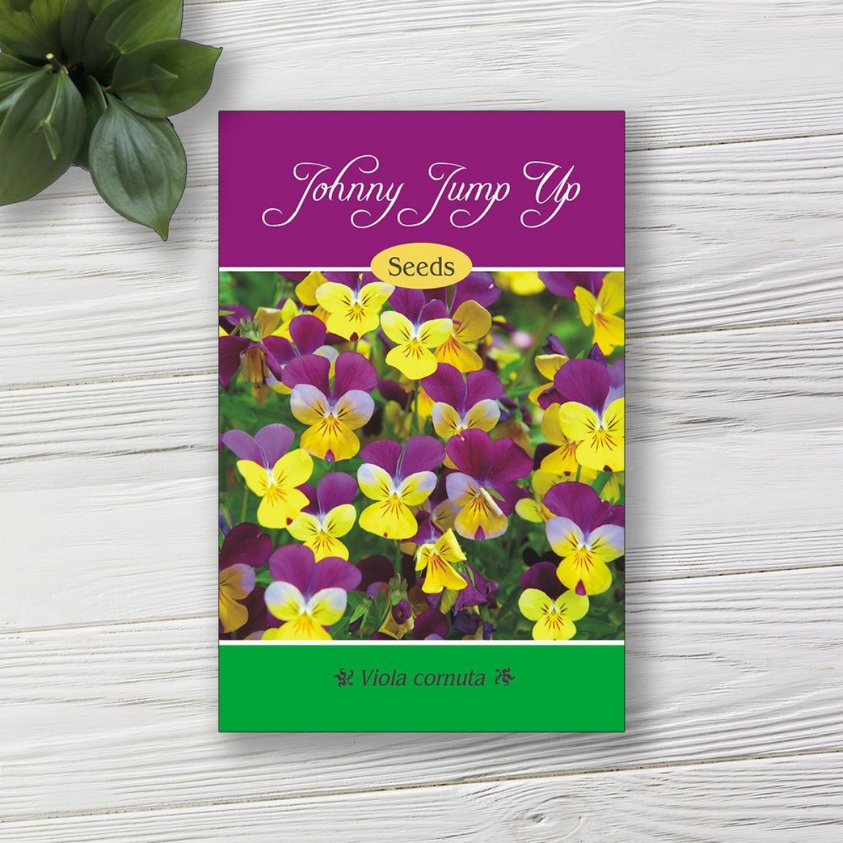 Complete Guide to Seed Packet Labels: Templates, Printables, and Expert Tips