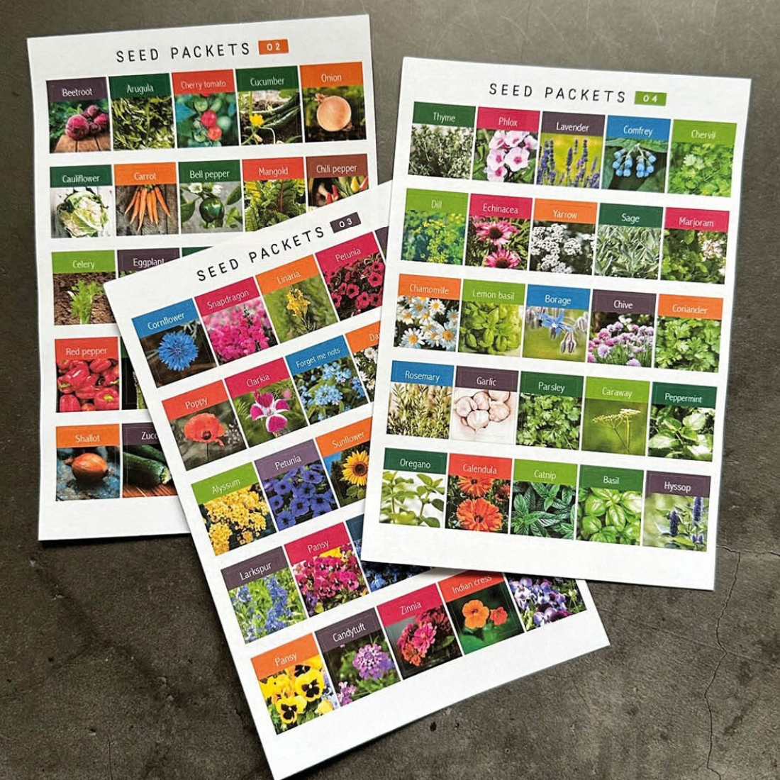 How to Design and Print Seed Packet Stickers: Expert Guide
